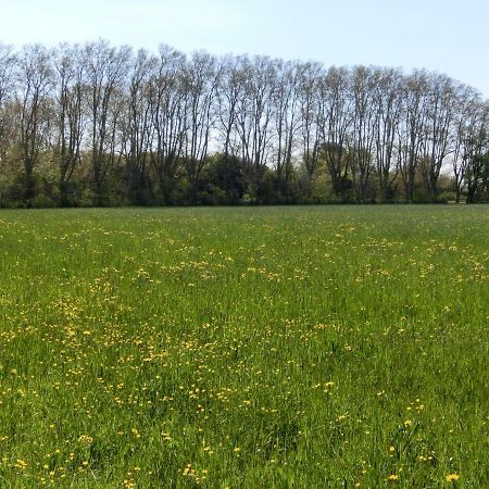 Gite Du Gardien Saint-Martin-de-Crau Exterior foto